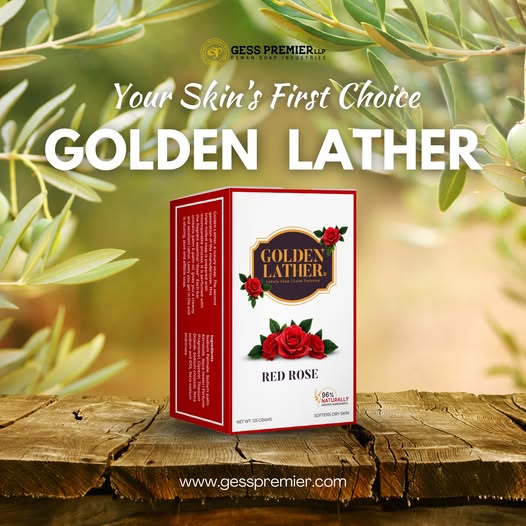 495282612 122103703004860823 2008047554956790618 n